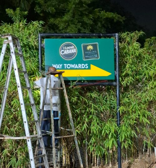 Site View